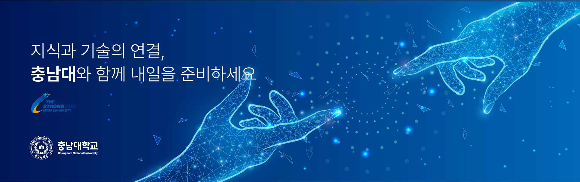 기본 배너