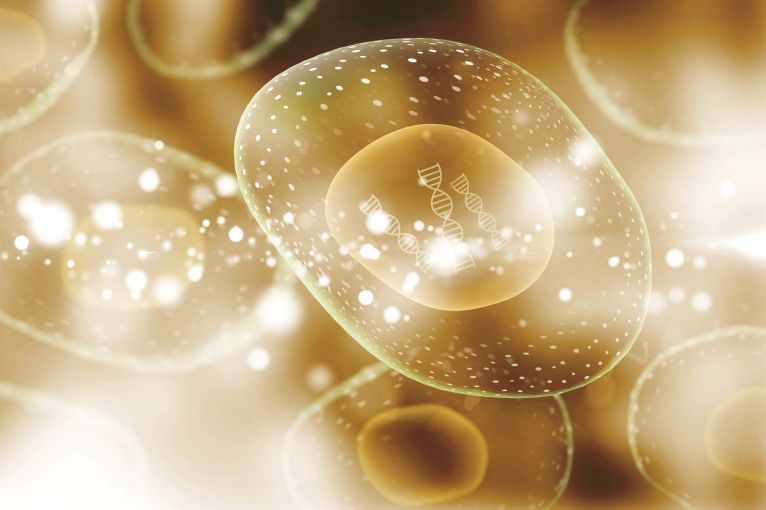 글루타티온 선택 검출로 패혈증 조기 진단 화학센서 개발 썸네일