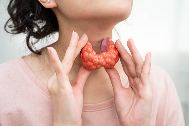 편도줄기세포 활용 부갑상선 호르몬 생산 기술 개발 썸네일