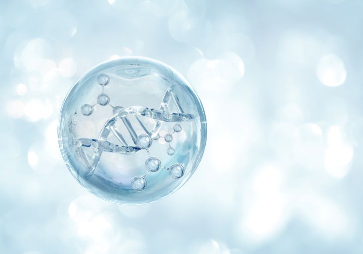 편도 유래 줄기세포 기반 제2형 당뇨병 치료 조성물 개발 썸네일