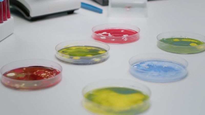 편도 유래 줄기세포 스페로이드 배양으로 부갑상선 호르몬 생산 개발 썸네일