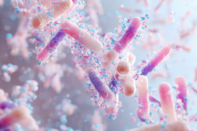 재조합 미생물 활용 내성균 극복 카나마이신 개발 썸네일