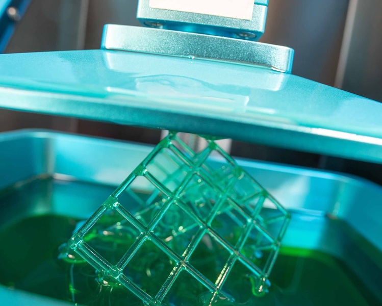 조형물 손상 해결하는 벌레잡이통풀 모방 실리콘 윤활 필름 개발 썸네일